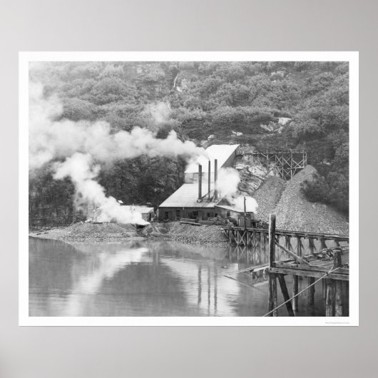 Valdez, Alaska Gold Mining 1916 Poster (Voorkant)