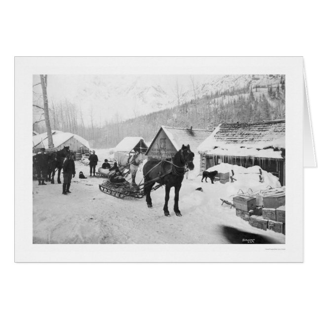 Valdez Trail Horses Alaska 1912 (Voorkant Horizontaal)