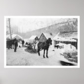 Valdez Trail Horses Alaska 1912 Poster (Voorkant)