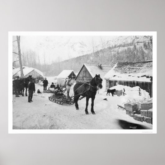 Valdez Trail Horses Alaska 1912 Poster (Voorkant)