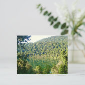 Valdivian Temperate Forest, Chili Briefkaart (Staand voorkant)