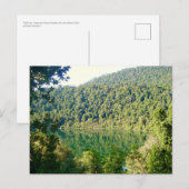 Valdivian Temperate Forest, Chili Briefkaart (Voorkant / Achterkant)