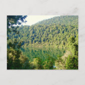 Valdivian Temperate Forest, Chili Briefkaart (Voorkant)