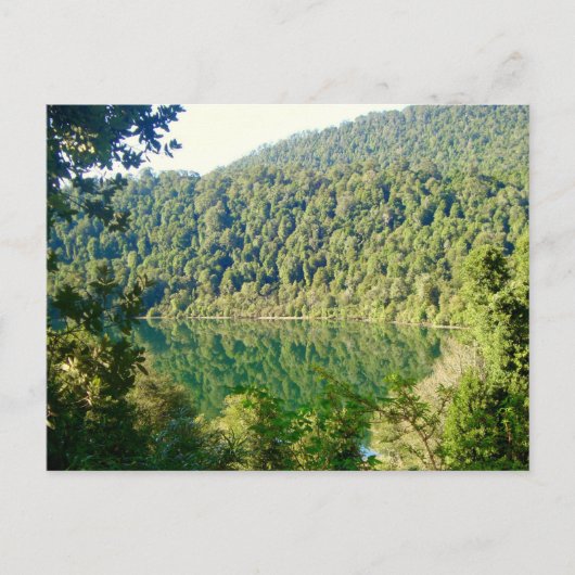 Valdivian Temperate Forest, Chili Briefkaart (Voorkant)