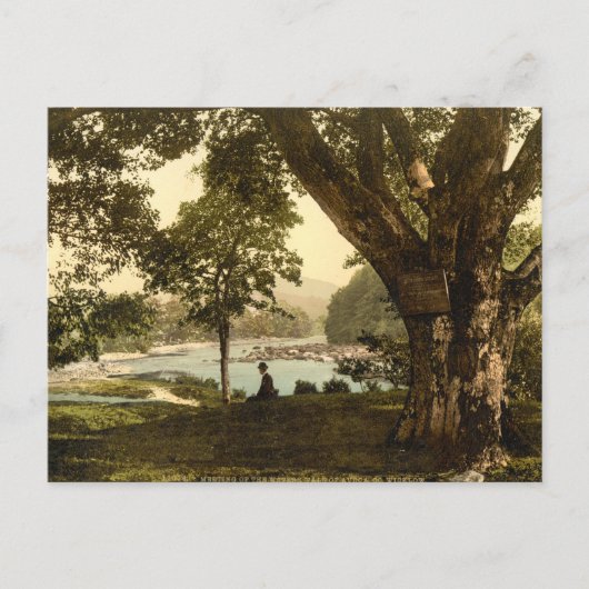 Vale of Avoca, County Wicklow Briefkaart (Voorkant)