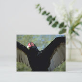 Vale Turkse gier, met grote vleugels Briefkaart (Staand voorkant)