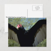 Vale Turkse gier, met grote vleugels Briefkaart (Voorkant / Achterkant)