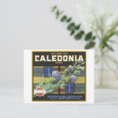  Valencia Caledonia Sinaasappels Fruit Crate Lab Briefkaart (Staand voorkant)