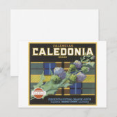  Valencia Caledonia Sinaasappels Fruit Crate Lab Briefkaart (Voorkant / Achterkant)