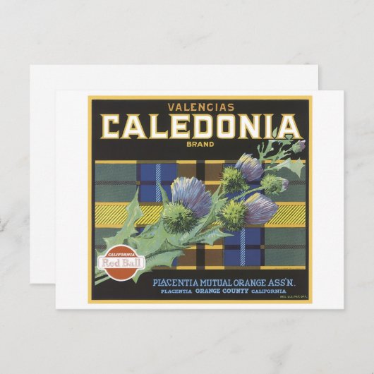  Valencia Caledonia Sinaasappels Fruit Crate Lab Briefkaart (Voorkant / Achterkant)