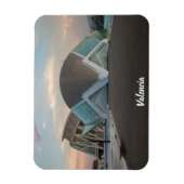 Valencia ciudad de las artes y las ciencias magneet (Verticaal)
