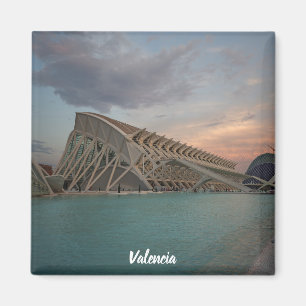 Valencia "Ciudad de las artes y las ciencias" Magneet
