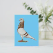 Valencia Figurita Pigeon Briefkaart (Staand voorkant)