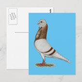 Valencia Figurita Pigeon Briefkaart (Voorkant / Achterkant)
