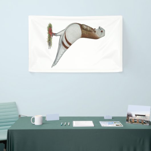 Valencia Figurita Pigeon Spandoek (Beurs)