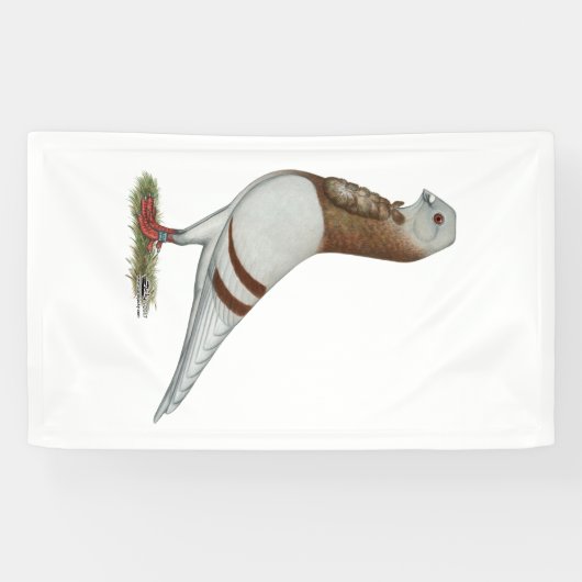 Valencia Figurita Pigeon Spandoek (Horizontaal)