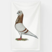 Valencia Figurita Pigeon Spandoek (Verticaal)