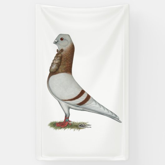 Valencia Figurita Pigeon Spandoek (Verticaal)