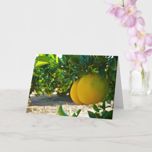 Valencia Oranje Grove Portret Kaart (Orchidee)