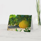 Valencia Oranje Grove Portret Kaart (Voorkant)