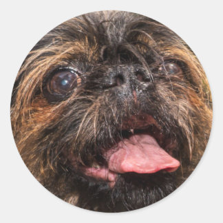 Valencia! Ronde Sticker