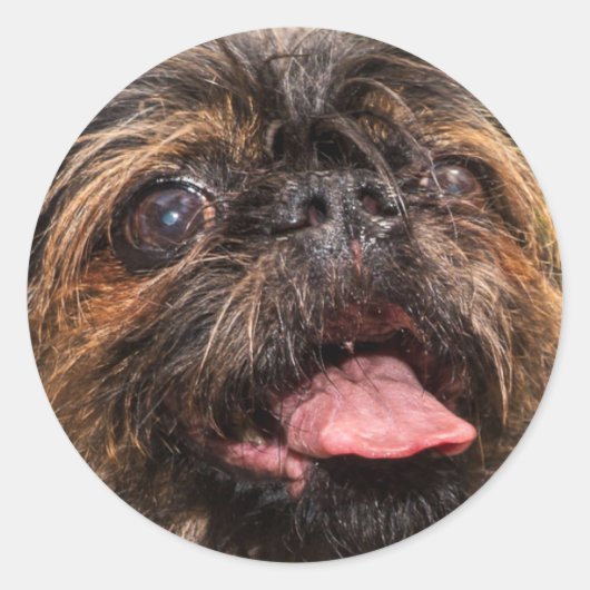 Valencia! Ronde Sticker (Voorkant)