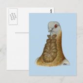 Valenciaans Figurita Pigeon Portrait Briefkaart (Voorkant / Achterkant)