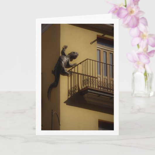 Valenciaanse Hagedis, Stad Valencia Kaart (Orchidee)