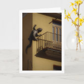 Valenciaanse Hagedis, Stad Valencia Kaart (Gele Bloem)