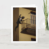 Valenciaanse hagedis, Valencia Stad Kaart (Voorkant)