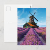Valensole Lavender Fields Provence Frankrijk Briefkaart (Voorkant / Achterkant)