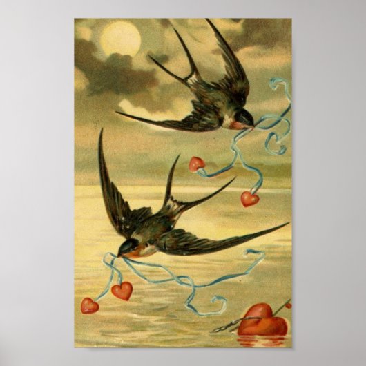 Valentijn Barn Swallows Poster (Voorkant)