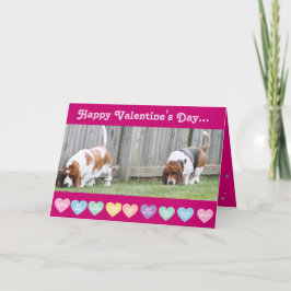 Valentijn - Bassets op Funny Valentijnsdag Kaart