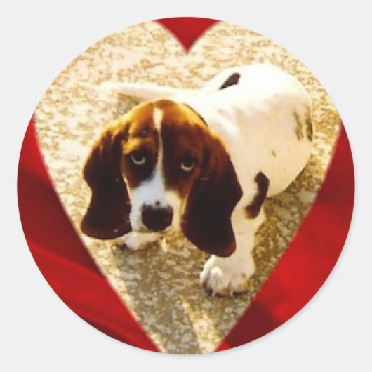 Valentijn Bassett Hound Ronde Sticker (Voorkant)