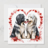 Valentijn Bearded Collie Sweethearts Liefde Feestdagenkaart (Voorkant)