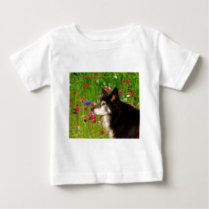 Valentijn Border Collie met mooie bloemetjes
