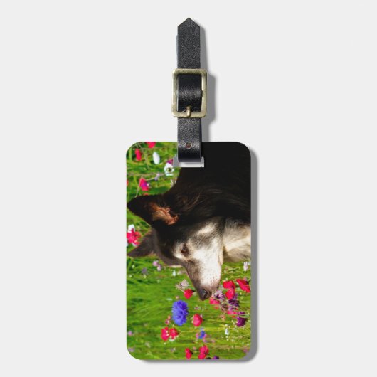 Valentijn Border Collie met mooie bloemetjes Bagagelabel (Voorkant verticaal)