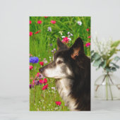 Valentijn Border Collie met mooie bloemetjes Briefpapier (Staand voorkant)