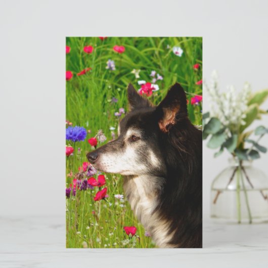 Valentijn Border Collie met mooie bloemetjes Briefpapier (Staand voorkant)
