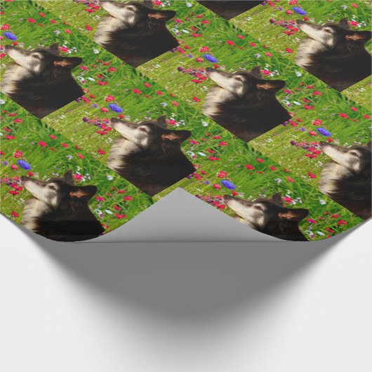Valentijn Border Collie met mooie bloemetjes Cadeaupapier (Hoek)