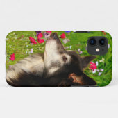 Valentijn Border Collie met mooie bloemetjes Case-Mate iPhone Case (Achterkant (horizontaal))