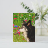 Valentijn Border Collie met mooie bloemetjes Feestdagenkaart (Staand voorkant)
