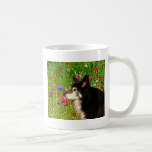 Valentijn Border Collie met mooie bloemetjes Koffiemok