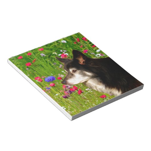 Valentijn Border Collie met mooie bloemetjes Notitieblok (Schuin)