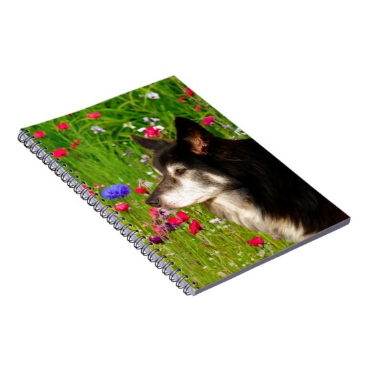 Valentijn Border Collie met mooie bloemetjes Notitieboek (Rechterzijde)