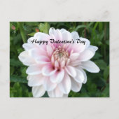 Valentijn briefkaart met witte en roze dahlia (Voorkant)
