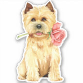 Valentijn Cairn Terrier Vinyl Sticker (Voorkant)