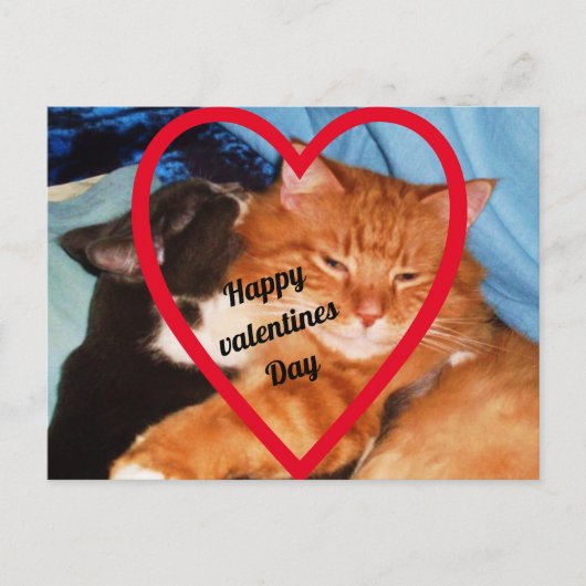 VALENTIJN CAT LOVE FEESTDAGENKAART (Voorkant)