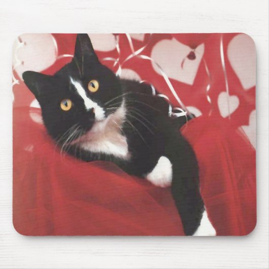 Valentijn Cat Mousepad Muismat (Voorkant)