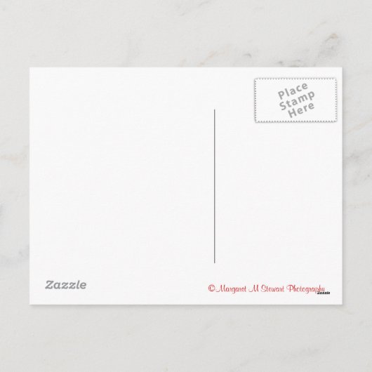 Valentijn Chipmunk Feestdagenkaart (Achterkant)